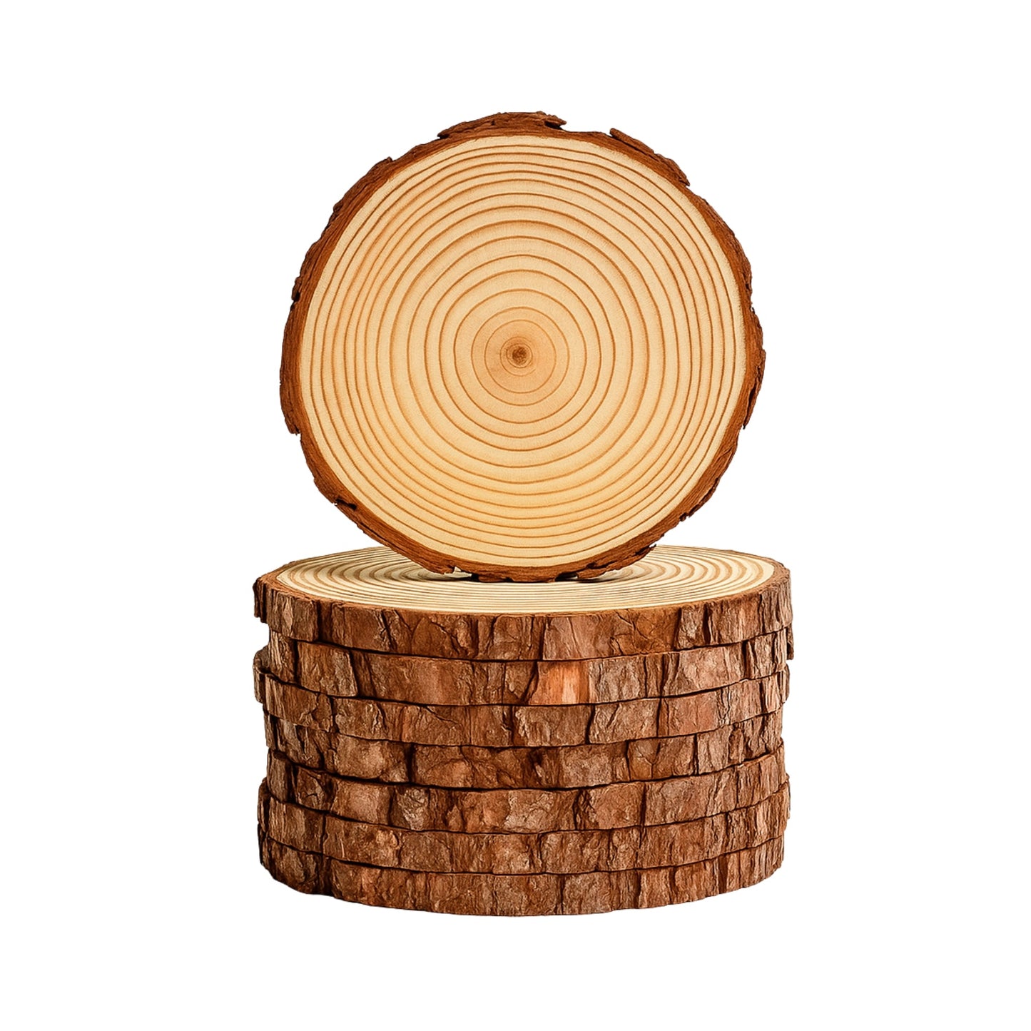 Deko Baumscheiben - Holzscheiben zum basteln 14 - 16cm - DwieDeko